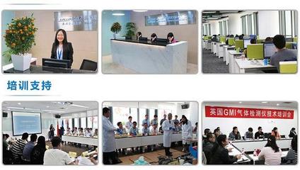 美國福祿克F319交直流數(shù)字鉗表 技術(shù)解析、選購指南與應(yīng)用場景